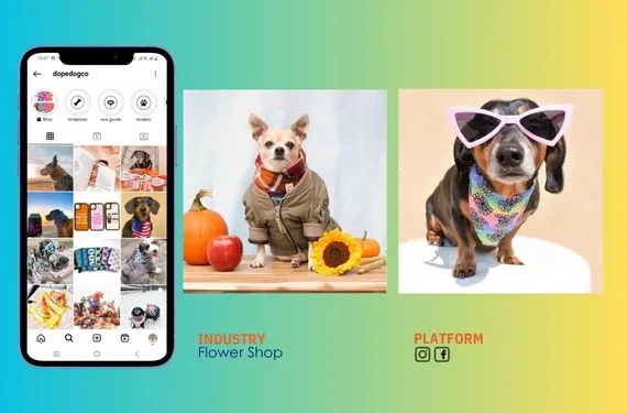 Pet Store Social Media Creatives